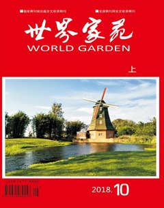 �������Է��