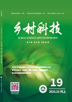 �����Ƽ���