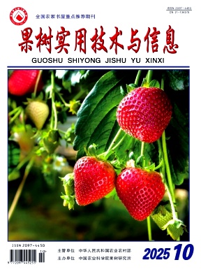 ������ʵ�ü�������Ϣ��